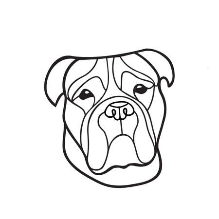 Line drawing of a dogâs head, vector illustrationのイラスト素材