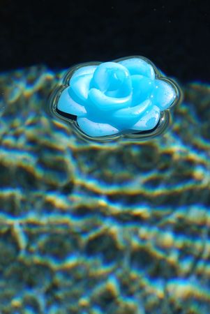 Blue wax flower floating in a deep blue poolの写真素材