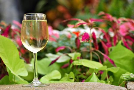 Glass of white wine set in a tropical gardenの写真素材