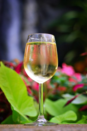Glass of white wine set in a tropical garden with waterfallの写真素材