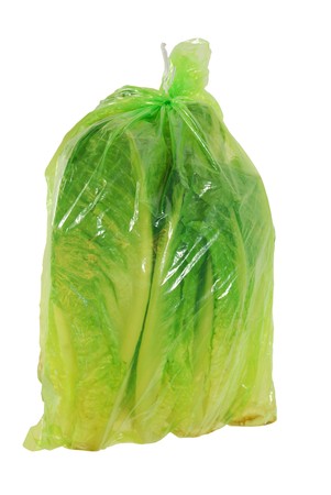 Green bag with heads of romaine lettuce の写真素材