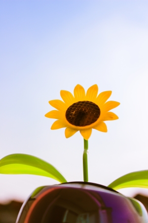 sun flower toy in blue skyの写真素材