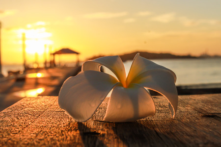 beautiful sunrise in pattaya on koh larn view photoの写真素材