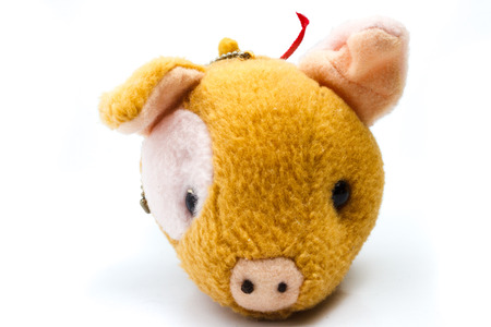 Soft Toy Piggy on Isolated White Backgroundの写真素材