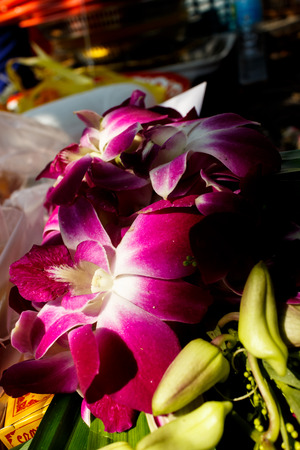 Orchid for Buddhist religious ceremonyの写真素材