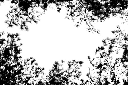 abstract natural background black and white photo stockの写真素材