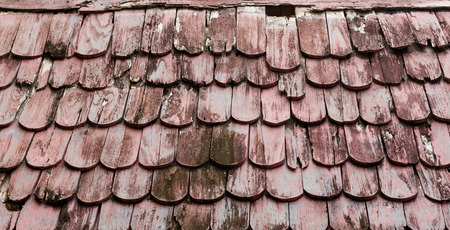 close up natural texture background photo stockの写真素材