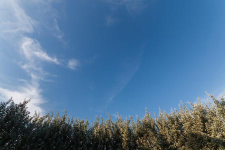 blue sky and white cloud natural backgroundの写真素材
