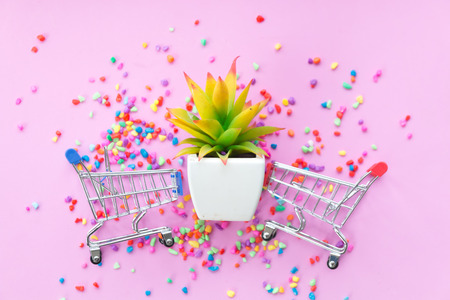 cose up mini shopping cart on pink background and decorate pastels color