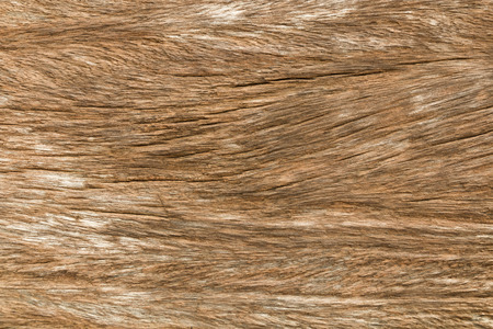 close up wooden texture for natural backgroundの写真素材