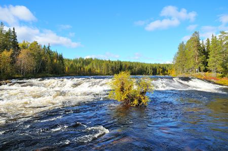 A river in Sweden in the autumn.の写真素材