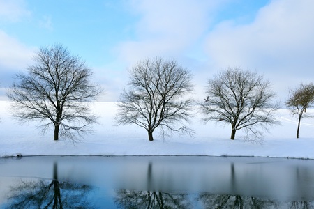Sunset on a cold winter day.の写真素材