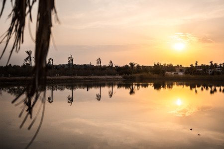 sunrise over the city against the backdrop of palm trees and a quiet harbor.の写真素材