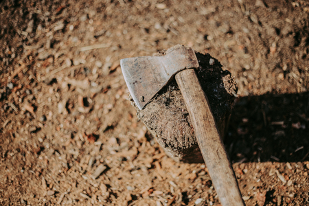 Axe in stump Axe ready for cutting timber.Woodworking tool. Lumberjack axe in wood, chopping timber.の写真素材