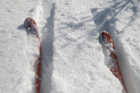 ski tipsの写真素材
