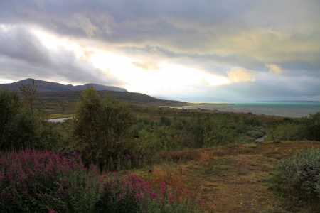 Sarek National Park