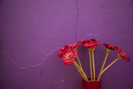 Red artificial flowers in transparent red vase in front of purple wallの写真素材