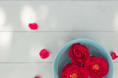 Flat lay with bright red roses floating in light-blue bowl and petals on light-blue wooden background. Sunspots vitalize the picture. Natural summer conceptの写真素材