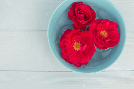 Flat lay with bright red roses floating in light-blue bowl and petals on light-blue wooden...