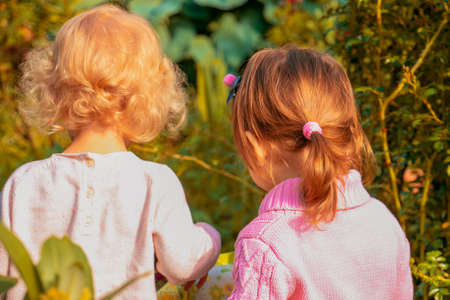 Two little blonde girls, two years old, playing in garden, among green. View from the back. One child has curls, other has hair gathered in ponytail. Cottagecore aesthetics and everyday life concept.の写真素材