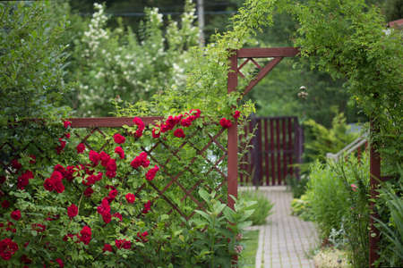 Garden landscape with red gate and hanging Chinese bellの写真素材