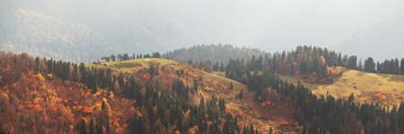 Autumn misty mountain panoramic view with colorful forest and small houseの写真素材