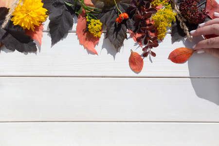 Autumn flatlay with female hand, colorful fall leaves, berries, dried and flowersの写真素材