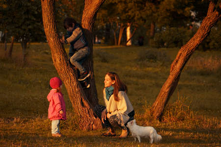 Mother with two children and white dog walking in autumn park at sunset.