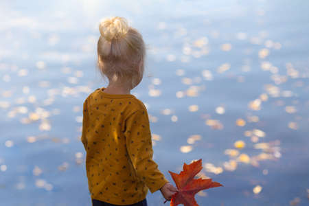 Small blond girl with red maple leaf in her hand watching autumn yellow leaves floating in the lakeの写真素材