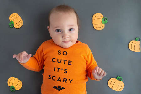 Cute funny baby wearing halloween orange long sleeve shirt with bat silhouette and pumpkin toys laying on the backgroundの写真素材