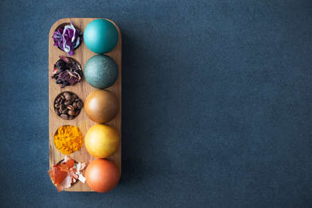 Natural dye for easter eggs - red cabbage, carcade, coffee, turmeric and onion skin. Homemade colored easter eggs with ingredients. Copy space, mock upの写真素材