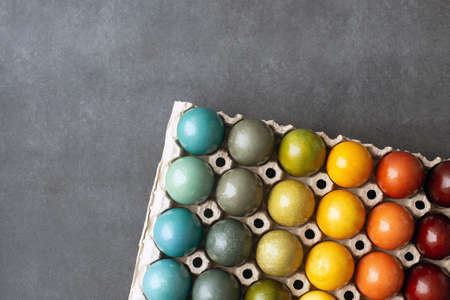 Set of colorful easter eggs colored with natural dye - turmeric, onion skin, carcade, red cabbage and coffee in cardboard on gray background. Gradientの写真素材