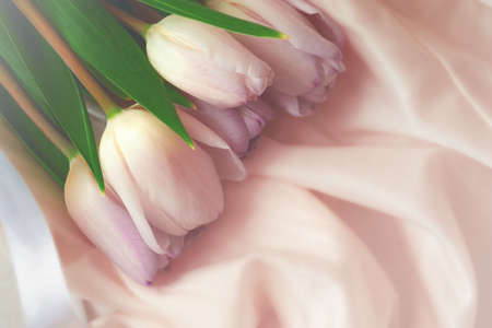 Bouquet of tulips lies on the background of silk fabric with folds.の写真素材