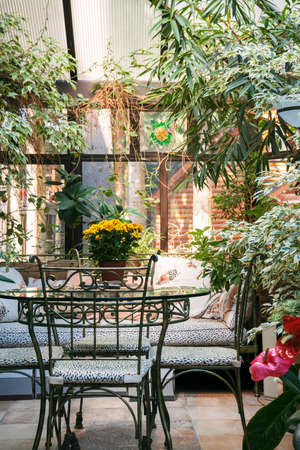 Interior of winter garden with yellow chrysanthemums on the table.の写真素材