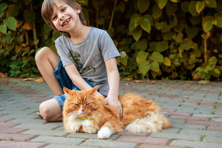 Happy and joyful boy smiles and strokes his pet - red cat.の写真素材