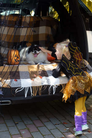 Little girl celebrating Halloween pet dog car trunk. Fun outdoorsの写真素材