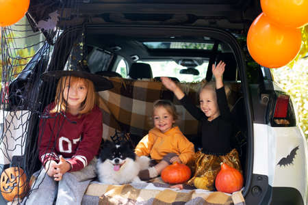 Kids dog celebrating Halloween in car trunk. Autumn holidaysの写真素材