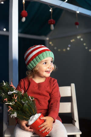 Cheerful little girl Santa hat holding small Christmas tree handsの写真素材
