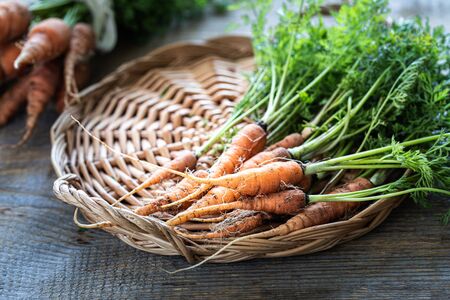 Organic carrots on a wicker tray, on a wooden dark background. Rustic natural styleの写真素材