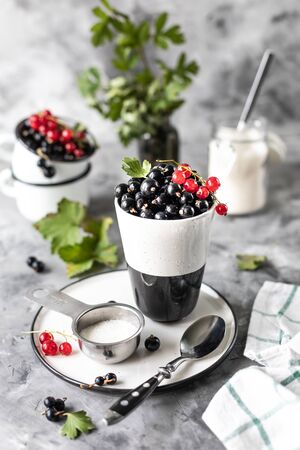 Fresh currants in a ceramic cup: black currants, red currants, selective focus. Place for text.の写真素材