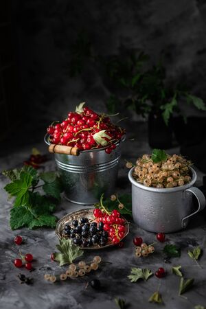 Fresh currants in a ceramic cup: black currants, red currants and white currants, selective focus. Place for text. Copy spaceの写真素材