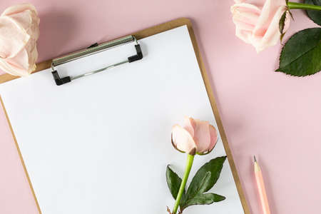 Clipboard mockup on light pink background with pink roses.の写真素材