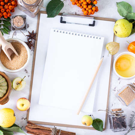 Pumpkin and ingredients for baking flour, eggs, sugar, cinnamon, butter, vanilla, milk, nuts. The gray background.の写真素材