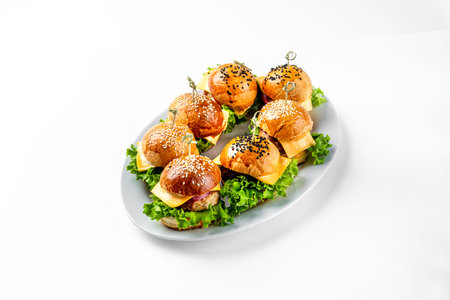 group tasty burger isolated on white background. cooking a burger at home. junk fast different food.の写真素材