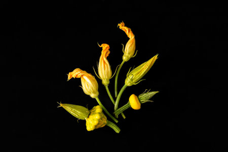 Fresh raw wet baby zucchini with flowers on black background. Top viewの写真素材