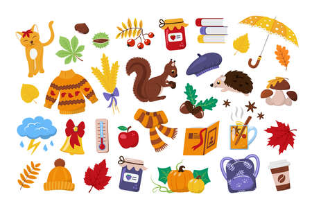 Fall season vector objects collection with umbrella, pumpkins, autumn leaves and plants, jar of jam, scarf, warm sweater, mug of mulled wine, school bag and books, etc. isolated on white backgroundのイラスト素材