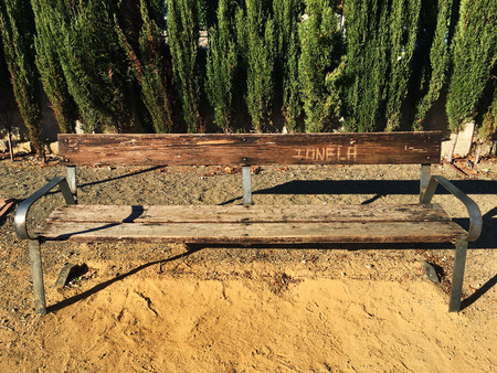 Seat in a Parkの写真素材