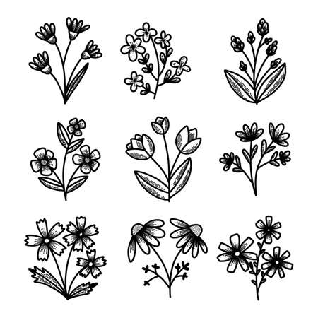 Vector set of elements Flowers, stem, leaf, petals, ribbons, hearts Botanical vintage illustration. Bouquet of plants Floral repetitive ornament for background, printing on fabric, paper, wallpaperのイラスト素材