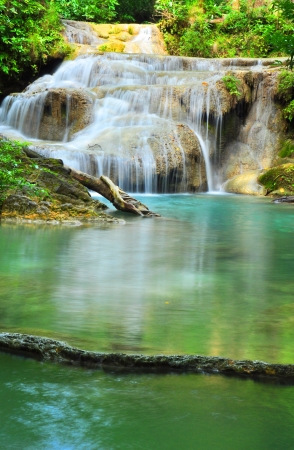 Deep Forest Waterfall の写真素材
