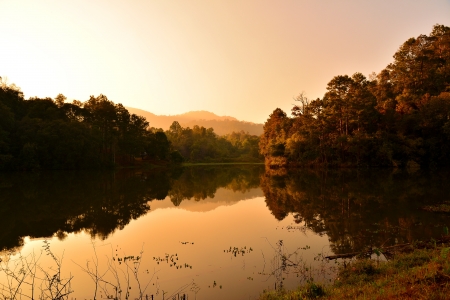 Reflection of Pine Forest in Lake の写真素材